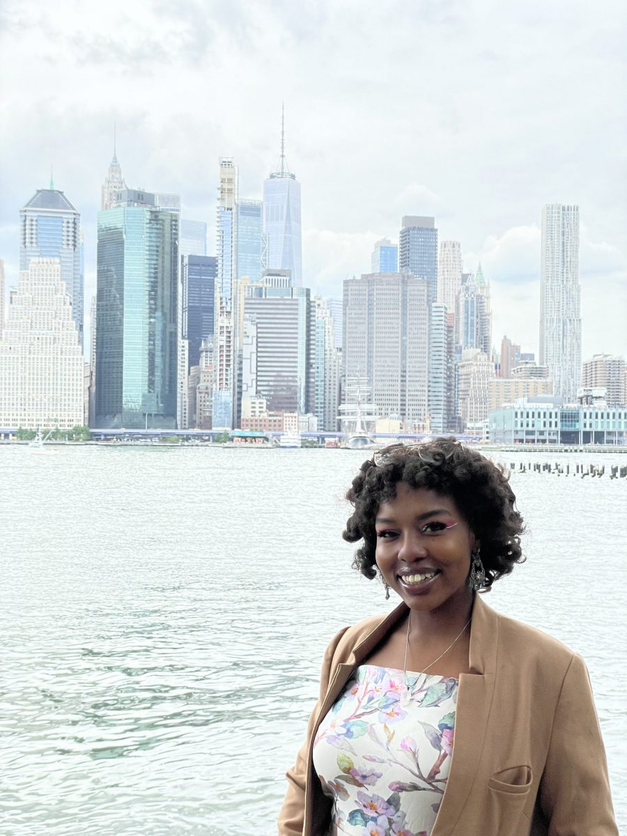Owner and Developer, Mufeena Marsh, with a background of New York City views